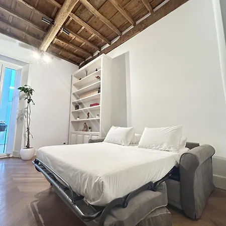 Apartment Domizio Elegant